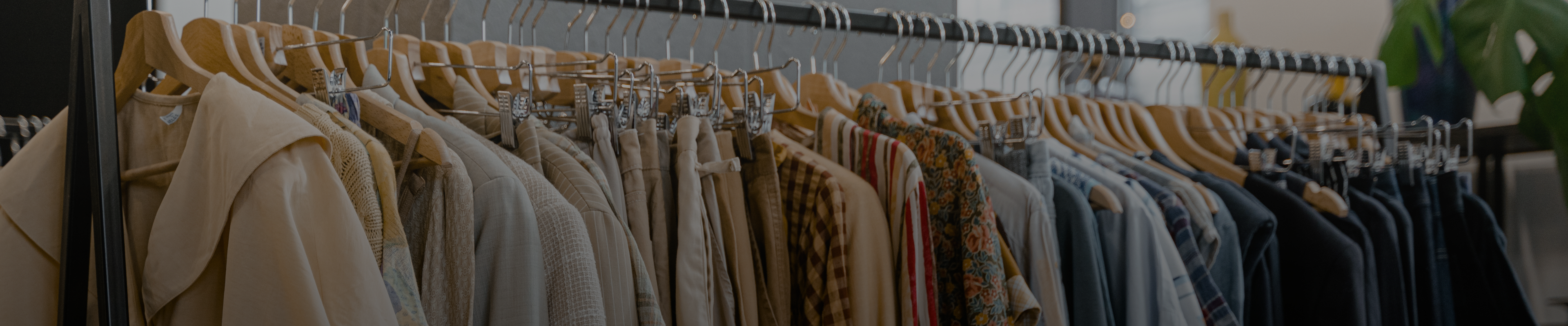 collection-banner-image