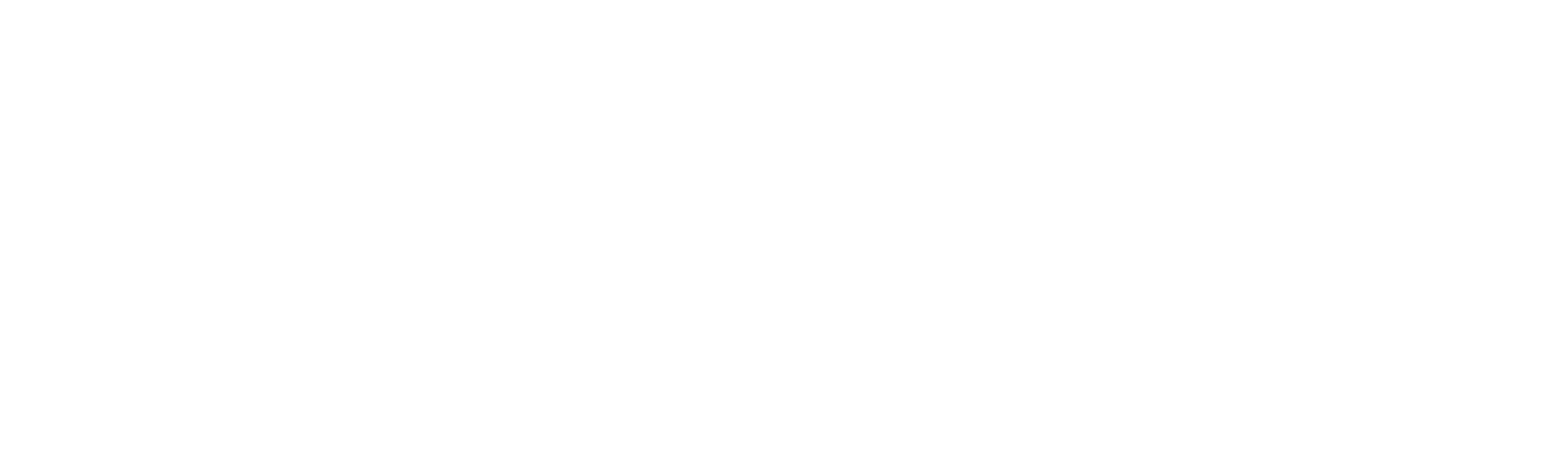 The Be Seen Collection